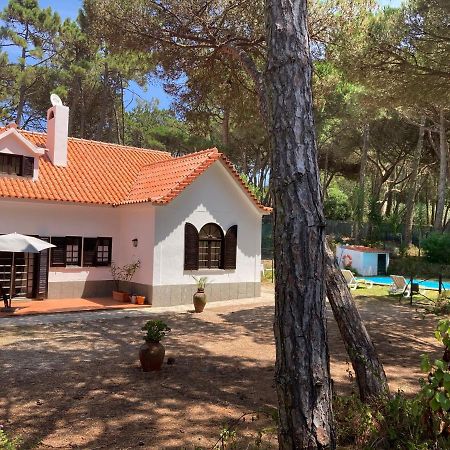 Moradia No Pinhal Com Piscina - Espaco E Privacidade Para As Suas Ferias! Синтра Екстериор снимка