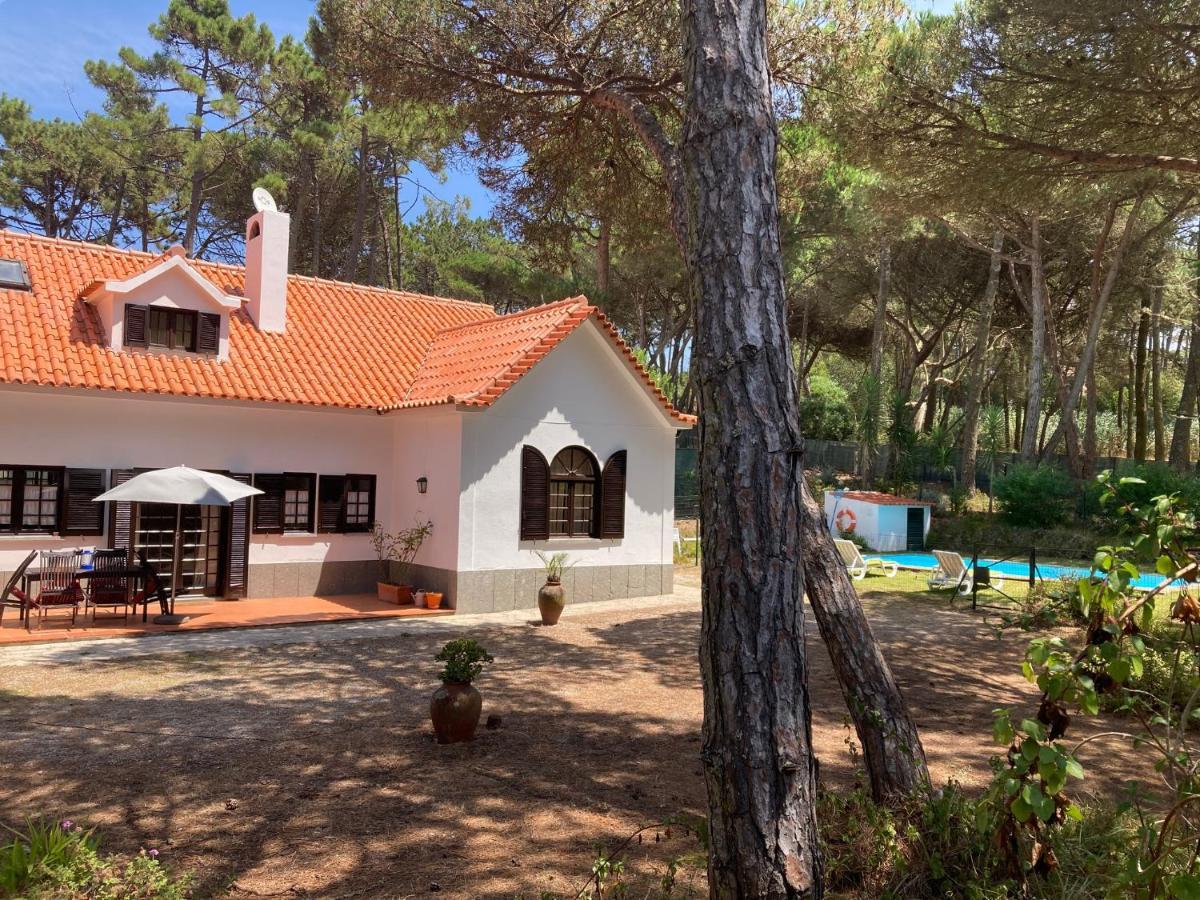 Moradia No Pinhal Com Piscina - Espaco E Privacidade Para As Suas Ferias! Синтра Екстериор снимка