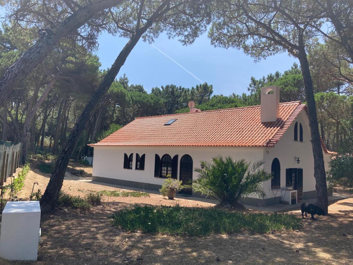 Moradia No Pinhal Com Piscina - Espaco E Privacidade Para As Suas Ferias! Синтра Екстериор снимка
