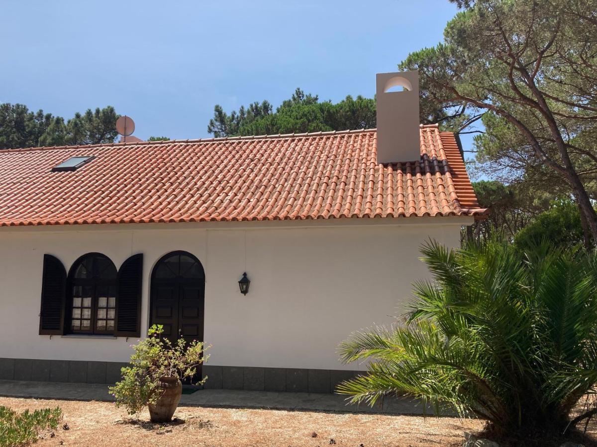 Moradia No Pinhal Com Piscina - Espaco E Privacidade Para As Suas Ferias! Синтра Екстериор снимка